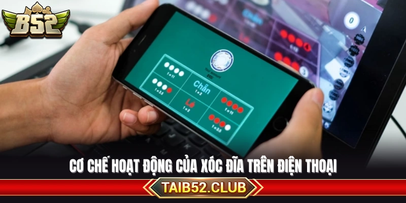 Cách thức vận hành của xóc đĩa mạng 